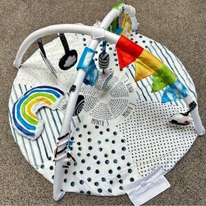 Sassy Stages STEM Developmental Play Gym & Tummy Time Mat Plush & Washable